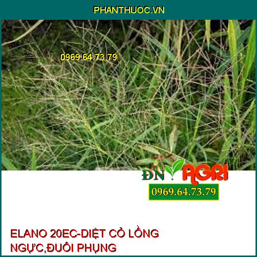 ELANO 20EC-DIỆT CỎ LỒNG NGỰC,ĐUÔI PHỤNG