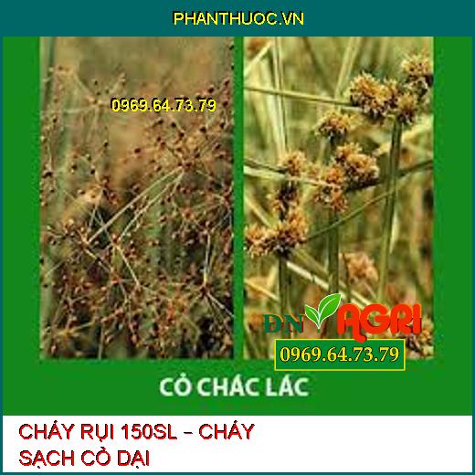 CHÁY RỤI 150SL – CHÁY SẠCH CỎ DẠI