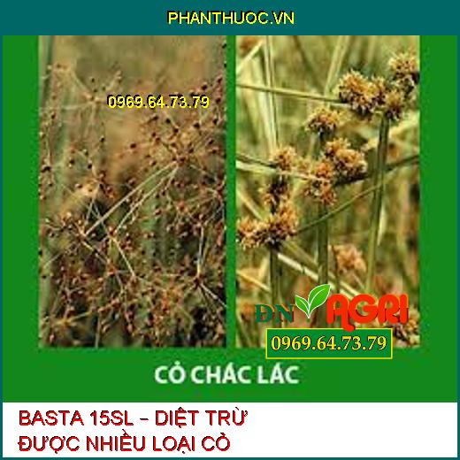 BASTA 15SL – DIỆT TRỪ ĐƯỢC NHIỀU LOẠI CỎ