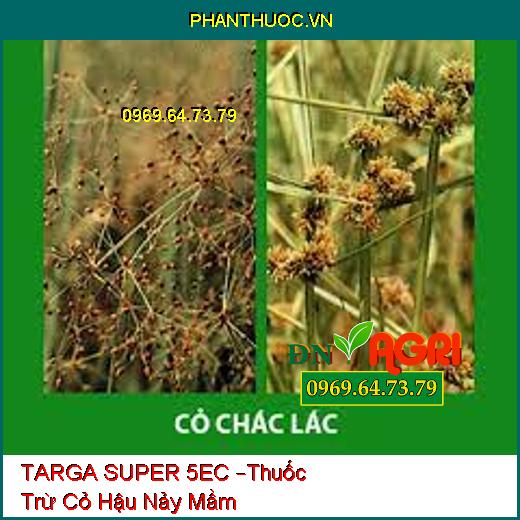 TARGA SUPER 5EC –Thuốc Trừ Cỏ Hậu Nảy Mầm