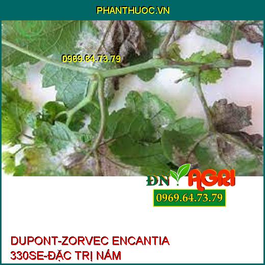 DUPONT-ZORVEC ENCANTIA 330SE-ĐẶC TRỊ NẤM 