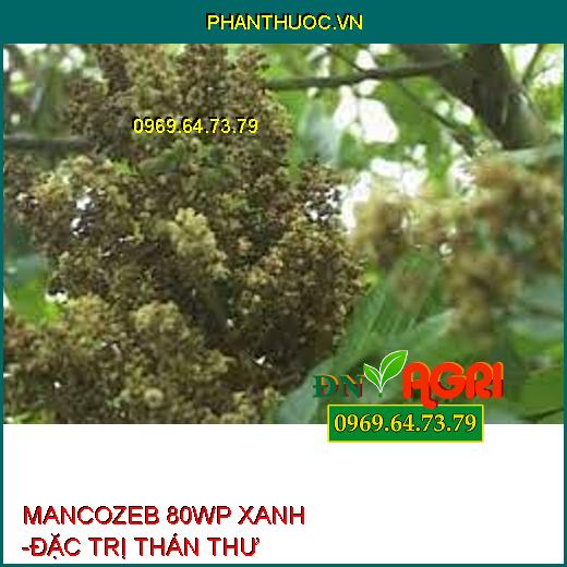 MANCOZEB 80WP XANH -ĐẶC TRỊ THÁN THƯ 