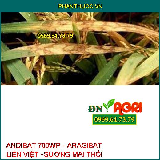 ANDIBAT 700WP – ARAGIBAT LIÊN VIỆT –SƯƠNG MAI THỐI THÂN