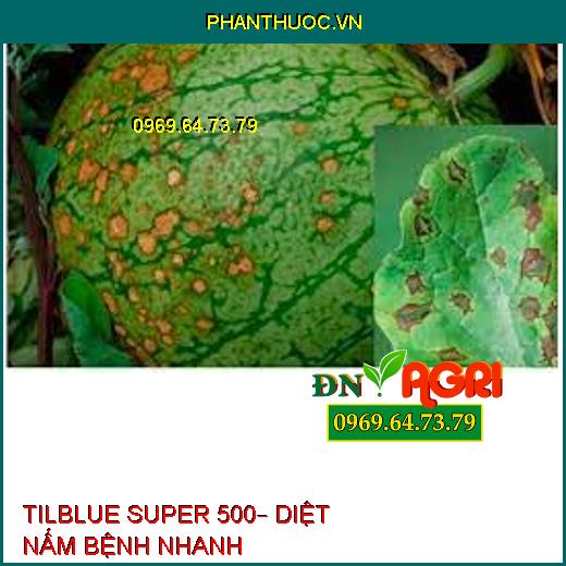 TILBLUE SUPER 500– DIỆT NẤM BỆNH NHANH