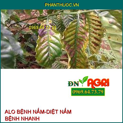 ALO BỆNH NẤM-DIỆT NẤM BỆNH NHANH