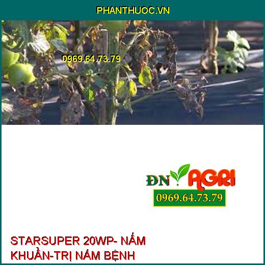 STARSUPER 20WP- NẤM KHUẨN-TRỊ NẤM BỆNH