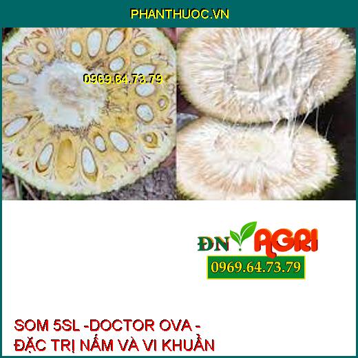 SOM 5SL -DOCTOR OVA - ĐẶC TRỊ NẤM VÀ VI KHUẨN