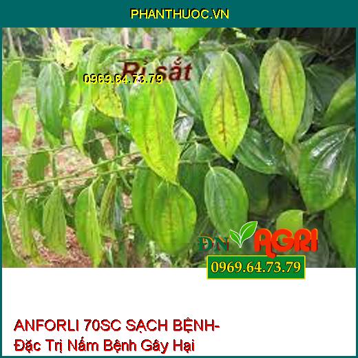 ANFORLI 70SC SẠCH BỆNH- Đặc Trị Nấm Bệnh Gây Hại