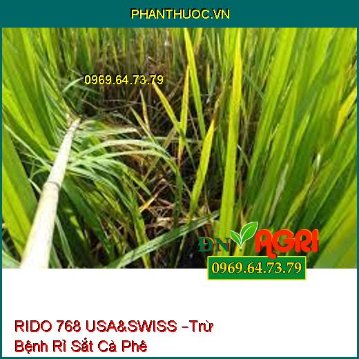 RIDO 768 USA&SWISS –Trừ Bệnh Rỉ Sắt Cà Phê