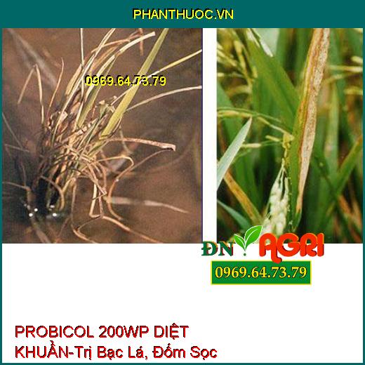 PROBICOL 200WP DIỆT KHUẨN-Trị Bạc Lá, Đốm Sọc