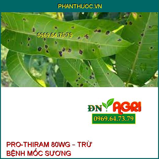 PRO-THIRAM 80WG – TRỪ BỆNH MỐC SƯƠNG 