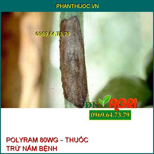 POLYRAM 80WG – THUỐC TRỪ NẤM BỆNH 