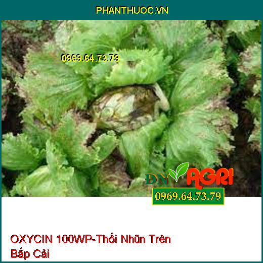 OXYCIN 100WP-Thối Nhũn Trên Bắp Cải