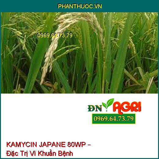 KAMYCIN JAPANE 80WP – Đặc Trị Vi Khuẩn Bệnh