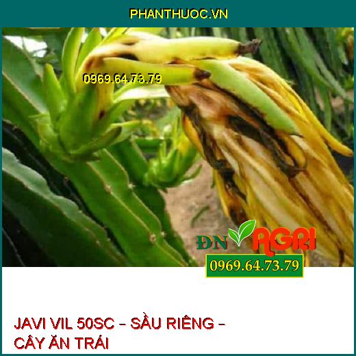 JAVI VIL 50SC – SẦU RIÊNG – CÂY ĂN TRÁI