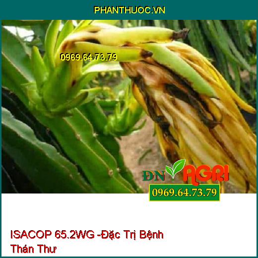 ISACOP 65.2WG -Đặc Trị Bệnh Thán Thư