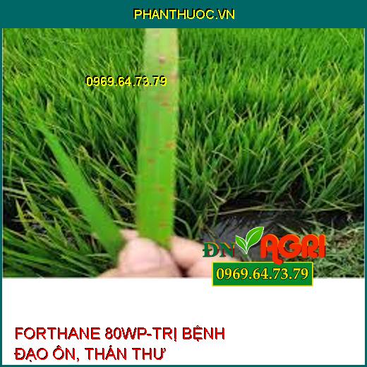 FORTHANE 80WP-TRỊ BỆNH ĐẠO ÔN, THÁN THƯ