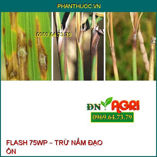 FLASH 75WP – TRỪ NẤM ĐẠO ÔN