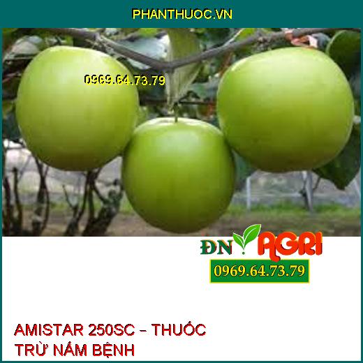 AMISTAR 250SC – THUỐC TRỪ NẤM BỆNH