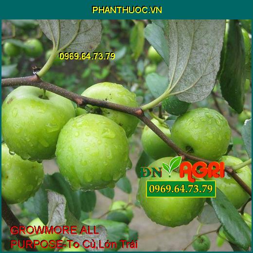 PHÂN BÓN LÁ –GROWMORE ALL PURPOSE –To Củ, Lớn Trái, Chắc Hạt, Tăng Năng Xuất