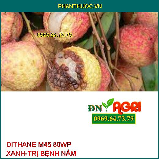 DITHANE M45 80WP XANH-TRỊ BỆNH NẤM 