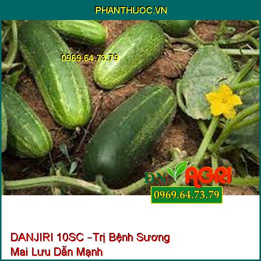 DANJIRI 10SC –Trị Bệnh Sương Mai Lưu Dẫn Mạnh