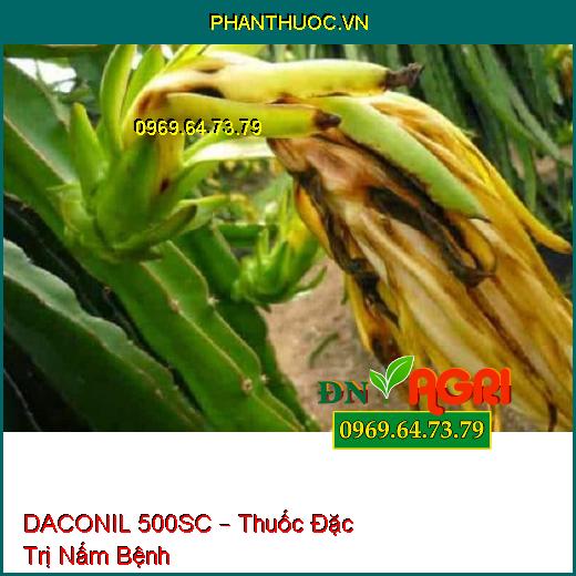 DACONIL 500SC – Thuốc Đặc Trị Nấm Bệnh