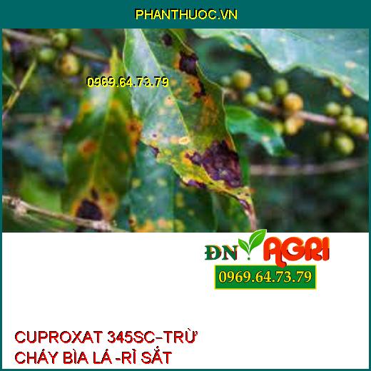 CUPROXAT 345SC–TRỪ CHÁY BÌA LÁ -RỈ SẮT