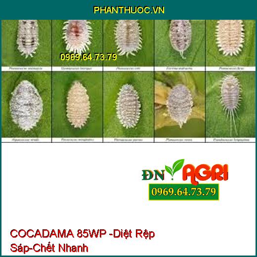 COCADAMA 85WP -Diệt Rệp Sáp-Chết Nhanh