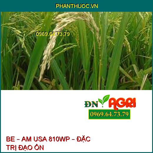 BE – AM USA 810WP – ĐẶC TRỊ ĐẠO ÔN