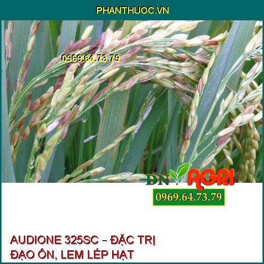 AUDIONE 325SC – ĐẶC TRỊ ĐẠO ÔN, LEM LÉP HẠT