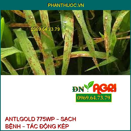 ANTLGOLD 775WP – SẠCH BỆNH – TÁC ĐỘNG KÉP