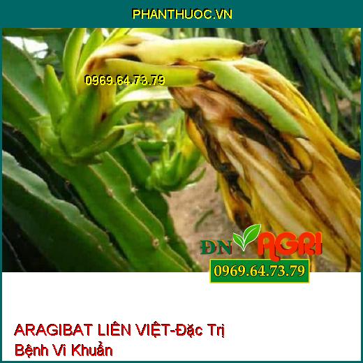 ARAGIBAT LIÊN VIỆT-Đặc Trị Bệnh Vi Khuẩn