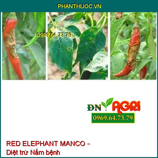 RED ELEPHANT MANCO – Diệt trừ Nấm bệnh