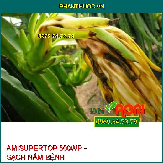 AMISUPERTOP 500WP – SẠCH NẤM BỆNH