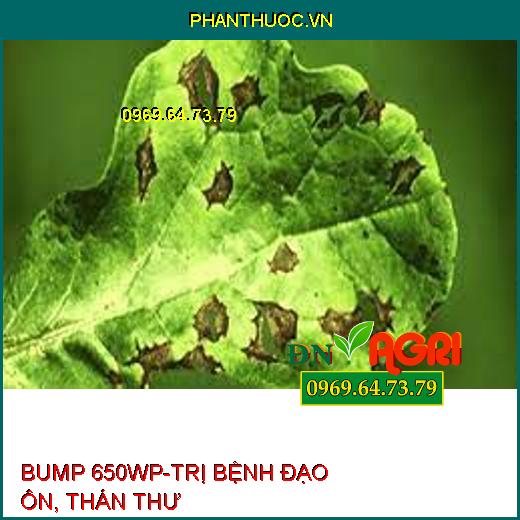 BUMP 650WP-TRỊ BỆNH ĐẠO ÔN, THÁN THƯ