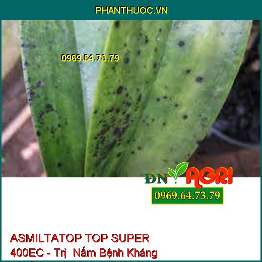 ASMILTATOP TOP SUPER 400EC - Trị Nấm Bệnh Kháng Thuốc