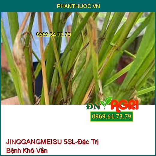 JINGGANGMEISU 5SL-Đặc Trị Bệnh Khô Vằn