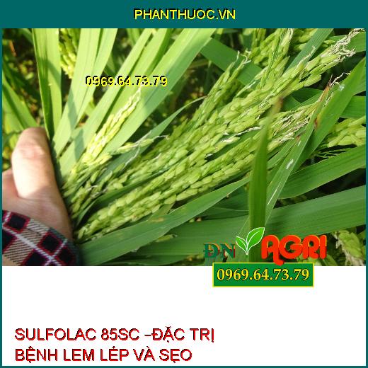 SULFOLAC 85SC –ĐẶC TRỊ BỆNH LEM LÉP VÀ SẸO