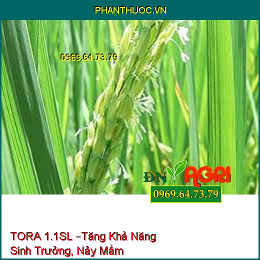 TORA 1.1SL –Tăng Khả Năng Sinh Trưởng, Nảy Mầm