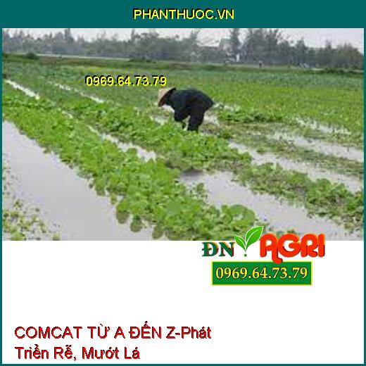 COMCAT TỪ A ĐẾN Z-Phát Triển Rễ, Mướt Lá