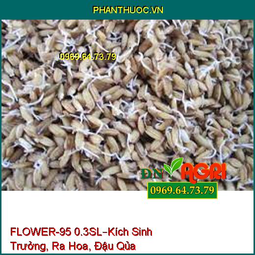 FLOWER-95 0.3SL–Kích Sinh Trưởng, Ra Hoa, Đậu Qủa