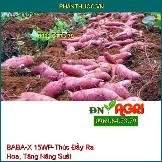 BABA-X 15WP-Thúc Đẩy Ra Hoa, Tăng Năng Suất