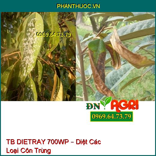 TB DIETRAY 700WP – Diệt Các Loại Côn Trùng