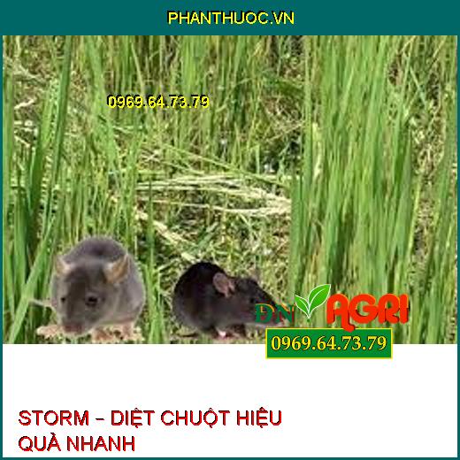 STORM – DIỆT CHUỘT HIỆU QUẢ NHANH