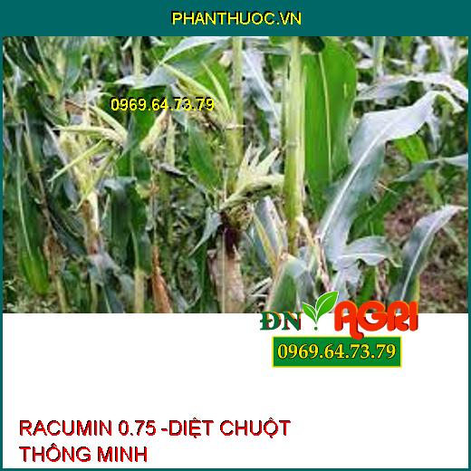 RACUMIN 0.75 -DIỆT CHUỘT THÔNG MINH