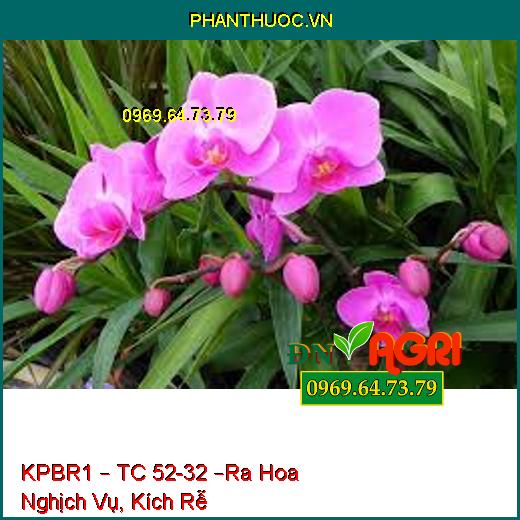 KPBR1 – TC 52-32 –Ra Hoa Nghịch Vụ, Kích Rễ