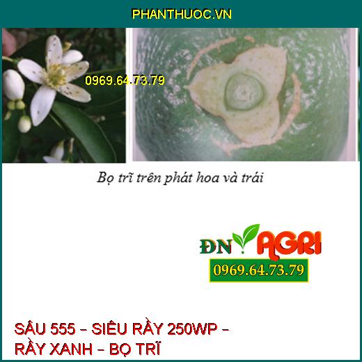 SÂU 555 – SIÊU RẦY 250WP – RẦY XANH – BỌ TRĨ