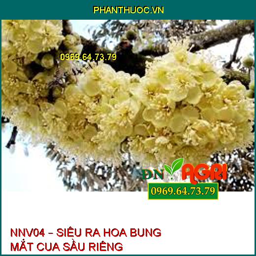 NNV04 – SIÊU RA HOA BUNG MẮT CUA SẦU RIÊNG