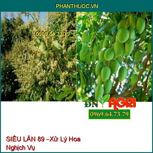 SIÊU LÂN 89 –Xử Lý Hoa Nghịch Vụ